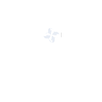 App MoSiG Vendas